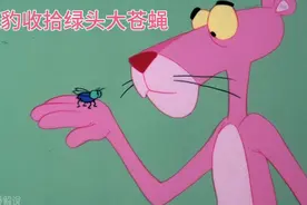 粉红豹家里来了只绿头大苍蝇，看看粉老六如何收拾这磨人的家伙视频封面