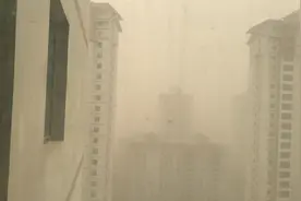 大酒泉春天特产降黄金视频封面