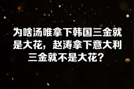 为啥汤唯拿下韩国三金就是大花，赵涛拿下意大利三金就不是大花？视频封面