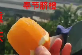 重庆奉节脐橙果皮中厚、脆易剥，肉质细嫩、无核少络，酸甜适度。视频封面