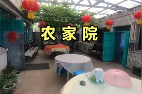 东北辽宁白清寨美丽乡村自驾游 一路自然美景 农家院绿色美食视频封面