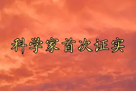 首次证实，人身上的这个部位，是鱼鳃演变来的视频封面