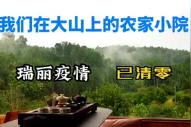 瑞丽疫情已清零，边境新农人在自家小院里种花种草种希望，自救！视频封面
