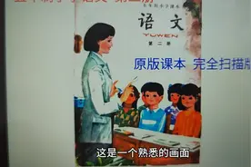 80后的回忆小学五年制语文课本第二册视频封面