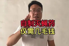 自制灭蝇💊，仅需几毛钱视频封面