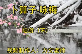 第71集：初中语文八下必背古诗文10～咏唱巜卜算子·咏梅》陆游宋视频封面