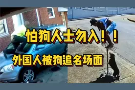 怕狗人士慎点！外国人被狗追搞笑瞬间，一辈子都有阴影吧…视频封面