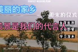 代言人，是企业的美丽风景？他的一言一行就是企业的形象。视频封面