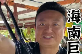 海南野生巨型罗氏沼虾，不愧是世界上最大的淡水虾!视频封面