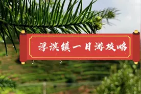 饶平县茶文化之旅-浮滨镇一日游攻略 #饶平 #浮滨镇 #张竞生视频封面