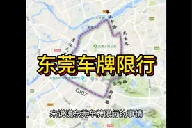 东莞车牌限行 快来看看是怎么回事视频封面