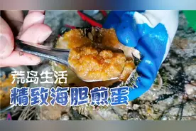 荒岛用这个来煎蛋一口下去无话可说，海胆这么难弄，卖多少钱都值