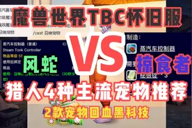 魔兽世界TBC怀旧服：猎人4种主流宠物介绍以及两款黑科技推荐视频封面