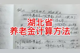湖北省养老金计算方法，以武汉为例，详解养老金计算过程视频封面