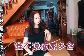 《谁不说俺家乡好》Ｃ调26弦演奏视频封面