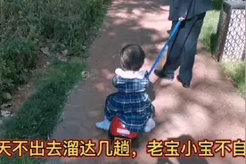 老祖和重孙女，每天不出来遛几趟，浑身不自在，这不，又出来了。视频封面