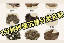 教你1分钟秒懂沉香12种分类名称视频封面