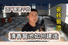 酿酒小哥:如何用瓷砖建造清香型窖池？简单实用效果不比地缸差。视频封面