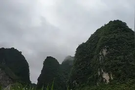 啊升做农活遇一个鸟窝，巢穴做工精致，粉红色的小鸟蛋，太奇怪了视频封面