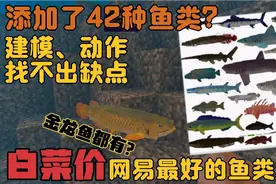 我的世界手机网易版更多鱼类模组 ：添加了42种不同群系的鱼类！
