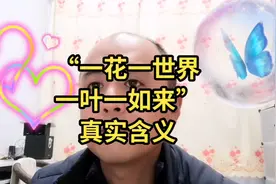 “一花一世界，一叶一如来”真实的含义。视频封面