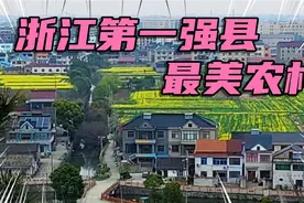浙江第一强县慈溪市农村，房屋整体布局密度大，别墅随处可见视频封面