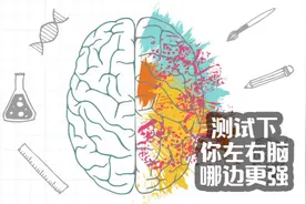 测试一下你大脑左右脑哪边比较强