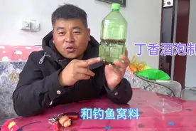 丁香酒的泡制方法，制作窝料，添加饵料，钓鲫鱼真的好用吗视频封面