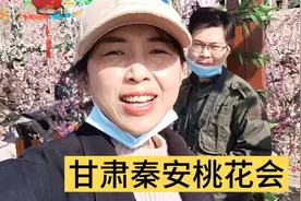 2022年甘肃秦安桃花会开启，黄土妹子邀赏万亩桃园，7月别忘吃桃视频封面