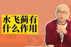 水飞蓟你听说过吗？它有着怎么样的妙用？点进来就知道☕️👉🏻