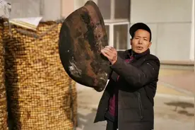 大铁锅破个孔扔了怪可惜，这样修补一下，还能再用十年视频封面