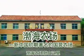 东营市渤海农场曾是新中国初期著名的国营农场！总面积32平方公里视频封面