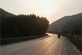 探访广西藤县原始百年松树大森林视频封面