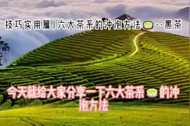 技巧实用篇|六大茶系的冲泡方法🍵……黑茶视频封面