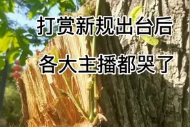 打赏新规出台，各大主播都哭了视频封面