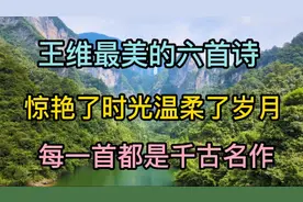 王维最美六首诗，每一首都是千古名作，惊艳了时光，温柔了岁月…视频封面