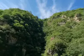 壬寅年七月初一视频封面