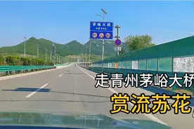 潍坊60后夫妻的赏流苏花一日游，人少景美，走走停停，享受慢生活视频封面