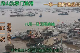 浙江舟山禁捕期结束，所有的渔船都出海，这场景难得一见视频封面