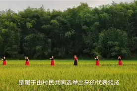 村委会将集体土地出卖的行为是否合法呢？视频封面