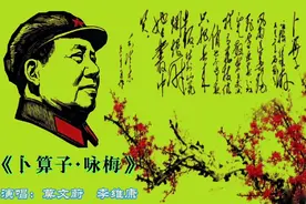 风雨送春归，飞雪迎春到。红色经典 《卜算子·咏梅》 毛主席诗词视频封面