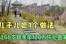 66岁母亲拿120万拆迁款到省城投奔儿子，为什么她又黯然回老家？视频封面