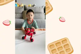 能听懂我们说话的机器狗，真好玩视频封面