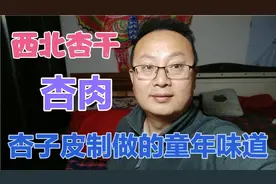 万能爸爸用晒干的杏皮制作一道小时候开胃的小零食，酸酸甜甜好吃