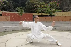 腰襠催動丹田節節貫通體現松柔領陳氏太極拳小架一層架七十六式视频封面