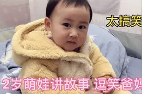 2岁宝宝给爸妈讲故事，一本正经满嘴跑火车，妈妈笑得肚子疼视频封面