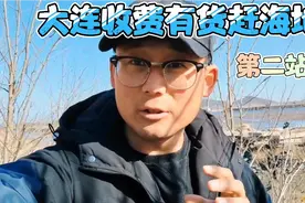 大连收费有货赶海地第二站，香波螺八爪鱼有的是，最主要的是多视频封面