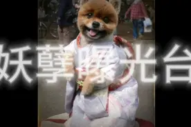 妖(谣)言惑众视频封面