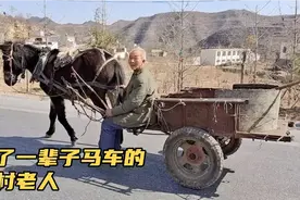 农村老人常年赶马车干农活，这技术太厉害了，一般人不敢坐这个车视频封面