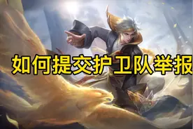 关于如何提交护卫队举报#王者 #鹰眼护卫队视频封面